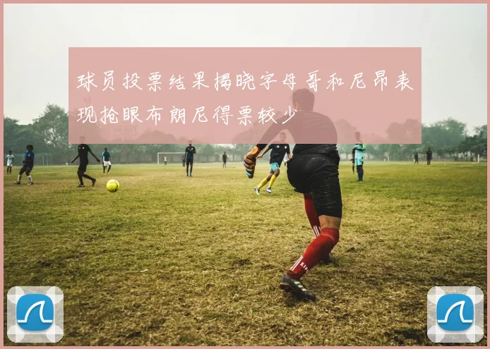 球员投票结果揭晓字母哥和尼昂表现抢眼布朗尼得票较少